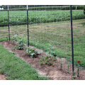 fixed knot game wire mesh fence